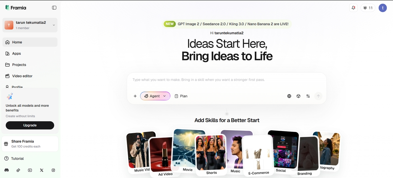 Framia Pro interface