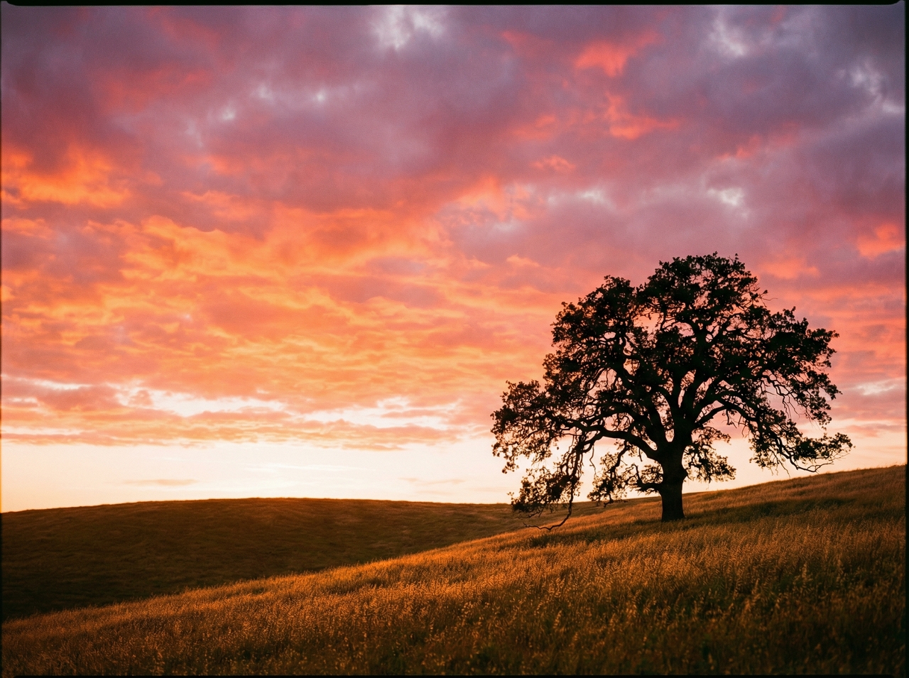 Generate images in multiple sizes and ratios