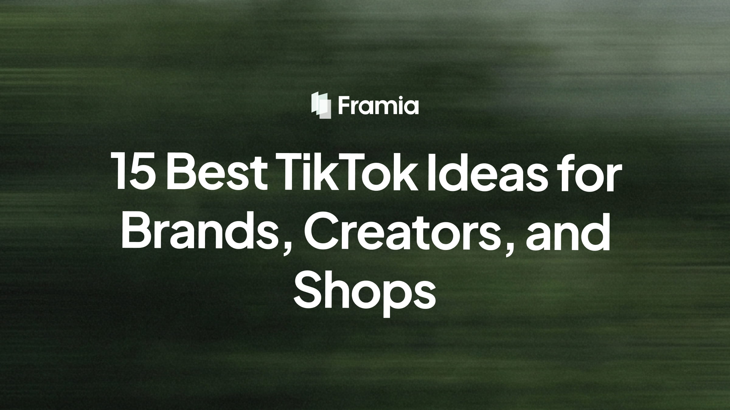 15 Best TikTok Ideas for Brands, Creators, and Shops